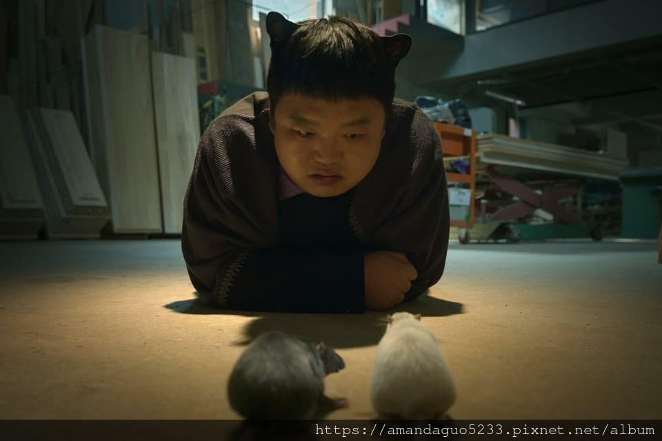 韓劇劇透分享2025.10.03許願吧精靈(13集)