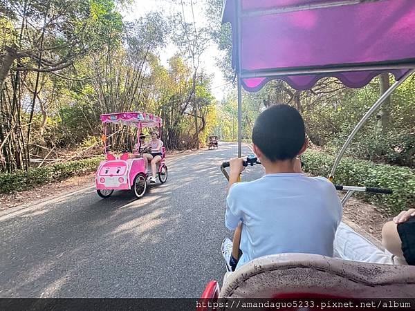 遊記-桃園市新屋區新屋綠色走廊桃園綠色走廊半日遊,騎車