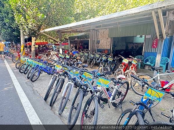 遊記-桃園市新屋區新屋綠色走廊桃園綠色走廊半日遊,騎車