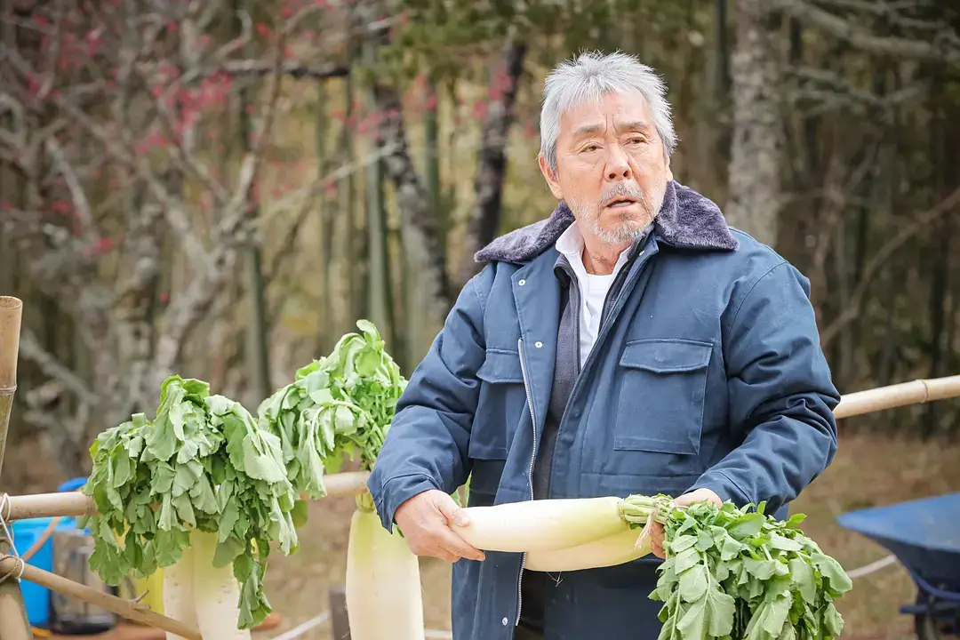 |日劇劇透分享|米之女:國稅局資料調查課|松嶋菜菜子短髮俐落回歸,不畏權勢與成員們絕不放過一個任何逃稅的機會! - 第11張圖 |日劇劇透分享|米之女:國稅局資料調查課|松嶋菜菜子短髮俐落回歸,不畏權勢與成員們絕不放過一個任何逃稅的機會!